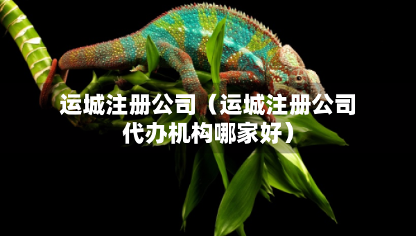 運(yùn)城注冊(cè)公司（運(yùn)城注冊(cè)公司代辦機(jī)構(gòu)哪家好）