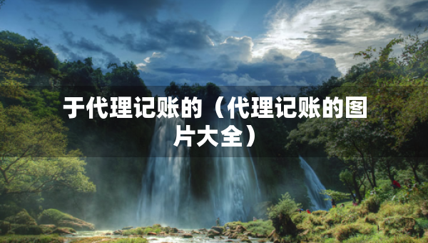 于代理記賬的（代理記賬的圖片大全）
