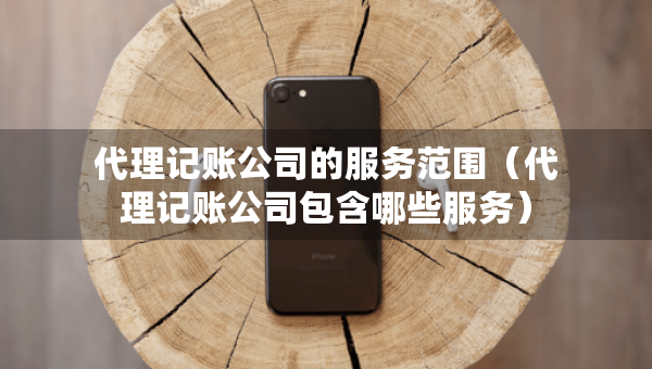 代理記賬公司的服務(wù)范圍（代理記賬公司包含哪些服務(wù)）