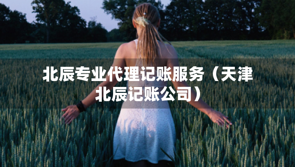 北辰專業(yè)代理記賬服務(wù)（天津北辰記賬公司）