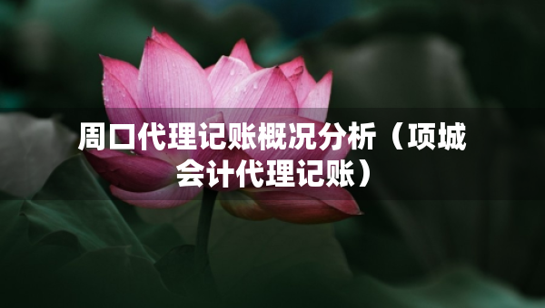 周口代理記賬概況分析（項(xiàng)城會計代理記賬）