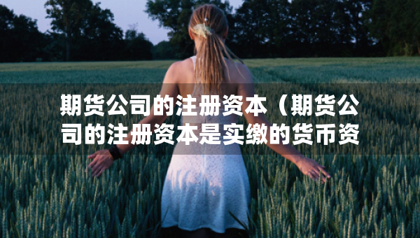 期貨公司的注冊資本（期貨公司的注冊資本是實(shí)繳的貨幣資本嗎）