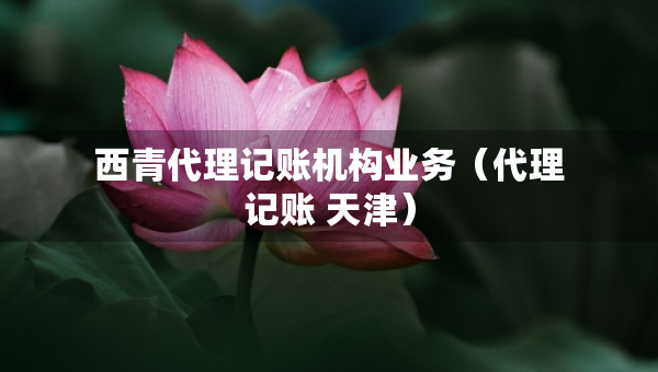 西青代理記賬機(jī)構(gòu)業(yè)務(wù)（代理記賬 天津）