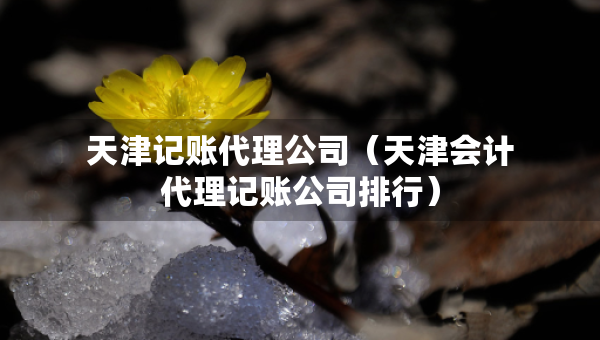 天津記賬代理公司（天津會(huì)計(jì)代理記賬公司排行）