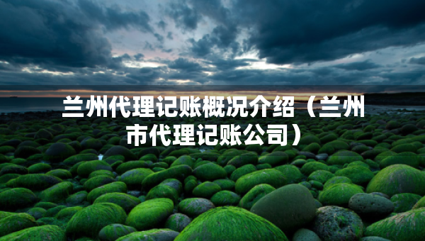 蘭州代理記賬概況介紹（蘭州市代理記賬公司）