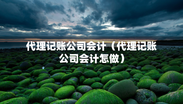 代理記賬公司會(huì)計(jì)（代理記賬公司會(huì)計(jì)怎做）