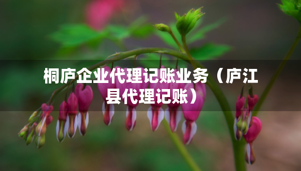 桐廬企業(yè)代理記賬業(yè)務(wù)（廬江縣代理記賬）