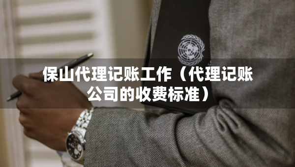 保山代理記賬工作（代理記賬公司的收費(fèi)標(biāo)準(zhǔn)）