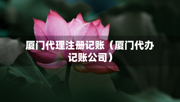 廈門代理注冊記賬（廈門代辦記賬公司）