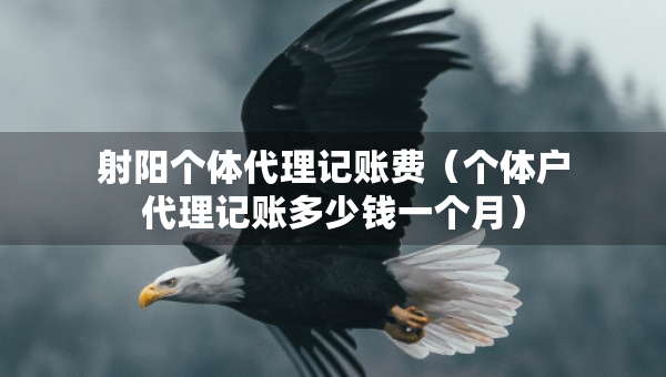 射陽個(gè)體代理記賬費(fèi)（個(gè)體戶代理記賬多少錢一個(gè)月）