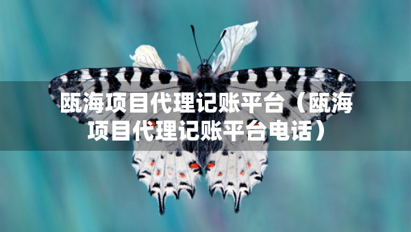 甌海項目代理記賬平臺（甌海項目代理記賬平臺電話）
