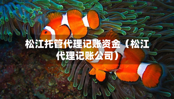松江托管代理記賬資金（松江代理記賬公司）
