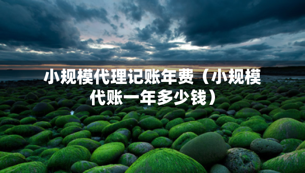 小規(guī)模代理記賬年費（小規(guī)模代賬一年多少錢）