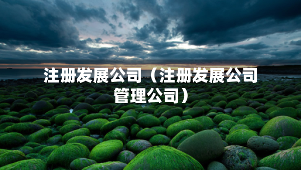 注冊發(fā)展公司（注冊發(fā)展公司管理公司）