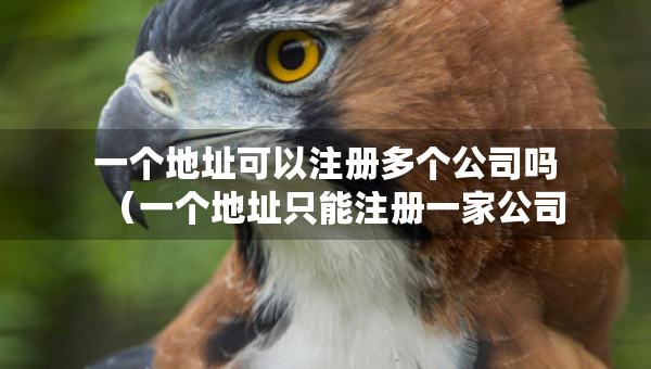 一個地址可以注冊多個公司嗎（一個地址只能注冊一家公司嗎）