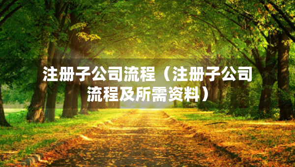 注冊子公司流程（注冊子公司流程及所需資料）