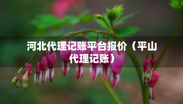 河北代理記賬平臺(tái)報(bào)價(jià)（平山代理記賬）