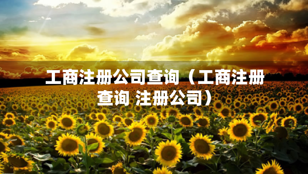 工商注冊公司查詢（工商注冊查詢 注冊公司）