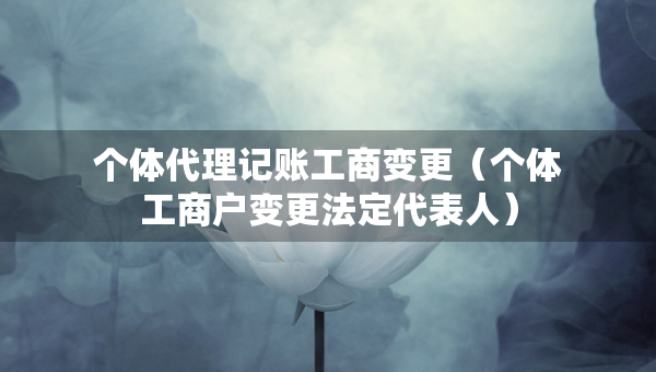 個體代理記賬工商變更（個體工商戶變更法定代表人）