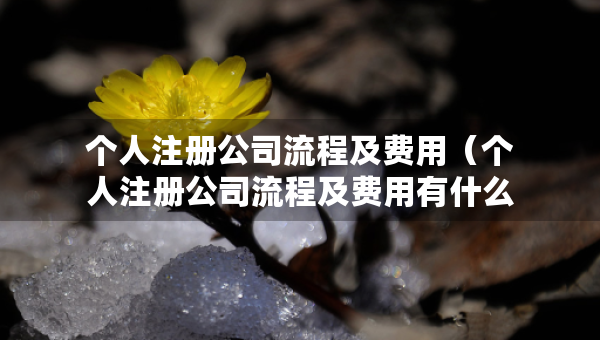 個人注冊公司流程及費用（個人注冊公司流程及費用有什么規(guī)定）
