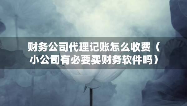 財務(wù)公司代理記賬怎么收費(fèi)（小公司有必要買財務(wù)軟件嗎）