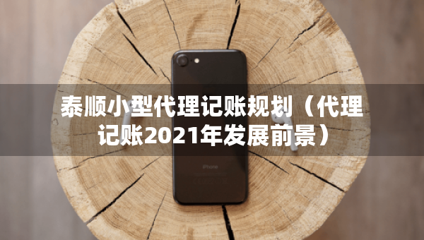 泰順小型代理記賬規(guī)劃（代理記賬2021年發(fā)展前景）