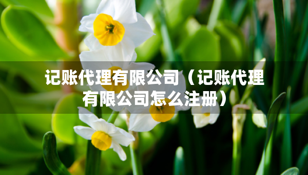 記賬代理有限公司（記賬代理有限公司怎么注冊）