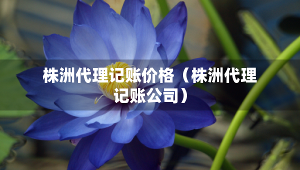 株洲代理記賬價格（株洲代理記賬公司）