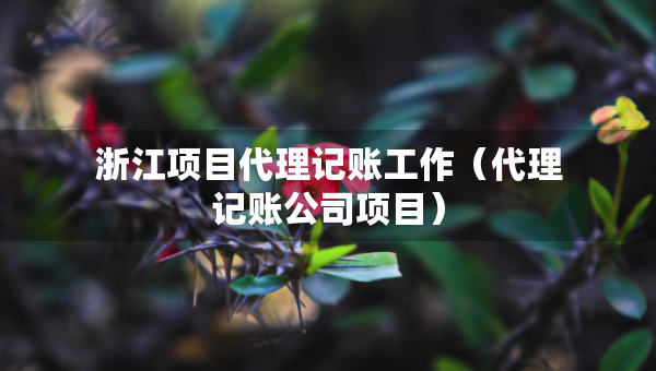 浙江項(xiàng)目代理記賬工作（代理記賬公司項(xiàng)目）
