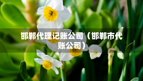 邯鄲代理記賬公司（邯鄲市代賬公司）