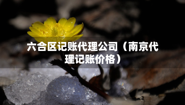 六合區(qū)記賬代理公司（南京代理記賬價(jià)格）