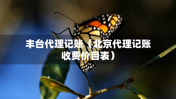 豐臺(tái)代理記賬（北京代理記賬收費(fèi)價(jià)目表）