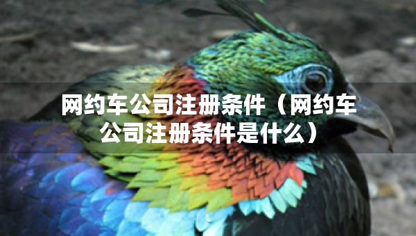 網(wǎng)約車公司注冊條件（網(wǎng)約車公司注冊條件是什么）