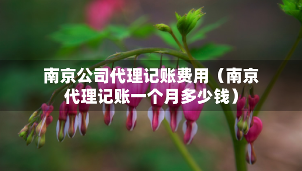 南京公司代理記賬費(fèi)用（南京代理記賬一個(gè)月多少錢）