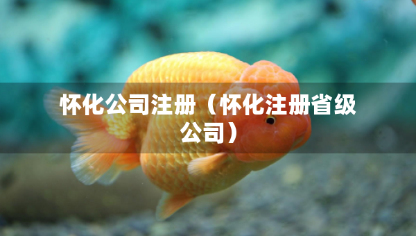 懷化公司注冊（懷化注冊省級公司）