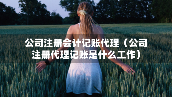 公司注冊會計記賬代理（公司注冊代理記賬是什么工作）