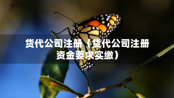 貨代公司注冊（貨代公司注冊資金要求實(shí)繳）