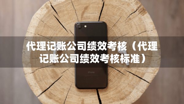 代理記賬公司績效考核（代理記賬公司績效考核標準）