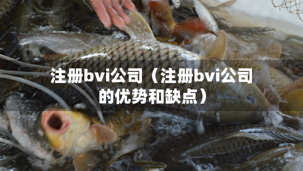 注冊(cè)bvi公司（注冊(cè)bvi公司的優(yōu)勢(shì)和缺點(diǎn)）