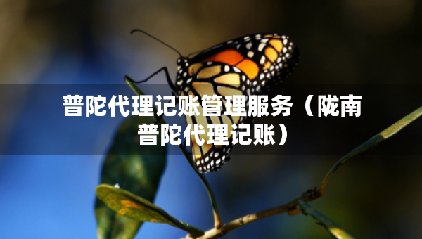 普陀代理記賬管理服務(wù)（隴南普陀代理記賬）