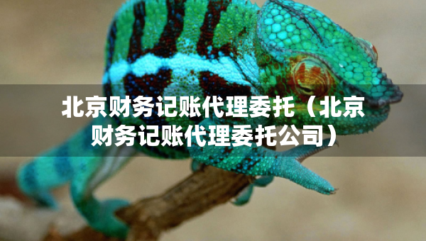 北京財(cái)務(wù)記賬代理委托（北京財(cái)務(wù)記賬代理委托公司）