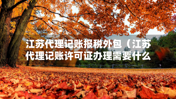 江蘇代理記賬報稅外包（江蘇代理記賬許可證辦理需要什么條件）