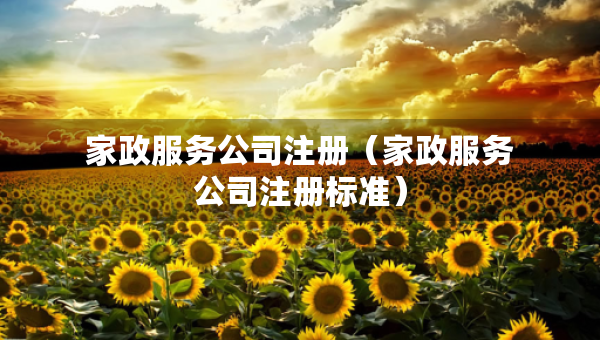 家政服務公司注冊（家政服務公司注冊標準）