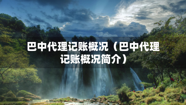 巴中代理記賬概況（巴中代理記賬概況簡介）