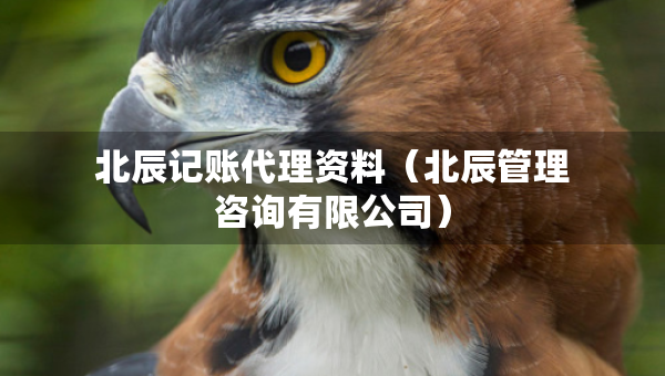北辰記賬代理資料（北辰管理咨詢有限公司）