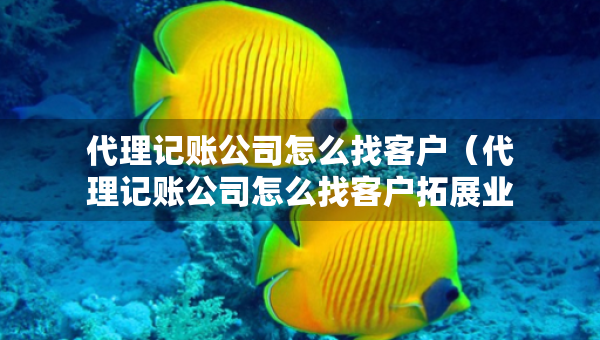 代理記賬公司怎么找客戶（代理記賬公司怎么找客戶拓展業(yè)務(wù)的）