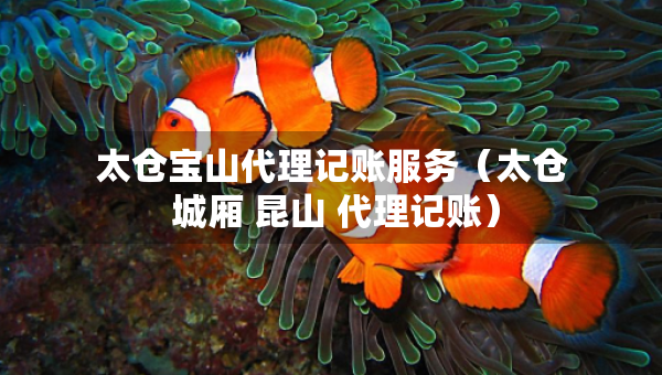 太倉寶山代理記賬服務（太倉 城廂 昆山 代理記賬）
