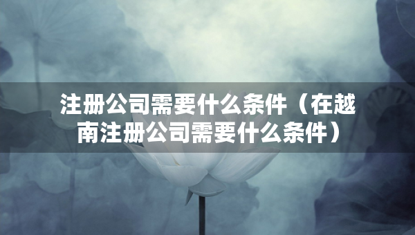 注冊(cè)公司需要什么條件（在越南注冊(cè)公司需要什么條件）