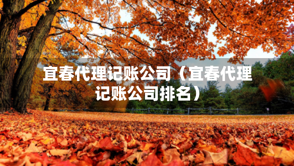 宜春代理記賬公司（宜春代理記賬公司排名）