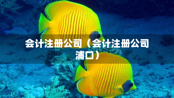 會計注冊公司（會計注冊公司浦口）